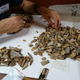 A scientist examining material from excavations done in the late 1960s and early 1970s.